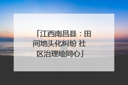 江西南昌县：田间地头化纠纷 社区治理绘同心